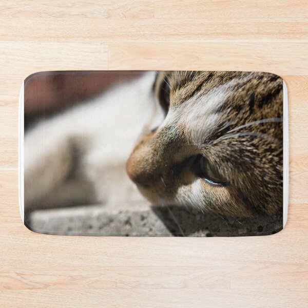Item preview, Stray cat face image, close up animal photography designed and sold by Millenn.