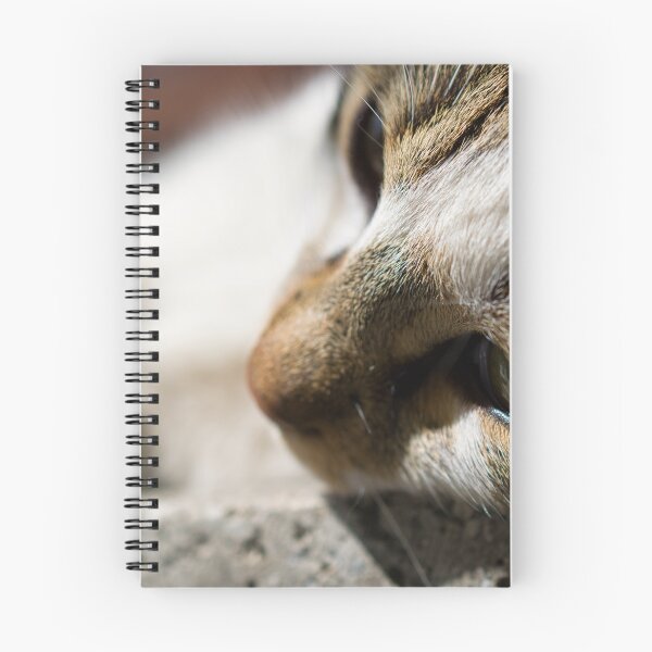 Item preview, Stray cat face image, close up animal photography designed and sold by Millenn.