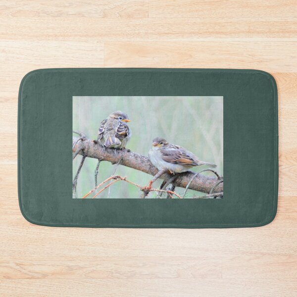 Item preview, Sparrow fledglings designed and sold by Laurie Minor.