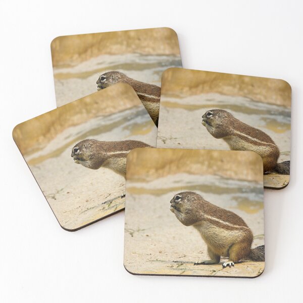 Item preview, cape ground squirrel designed and sold by jocliyu.