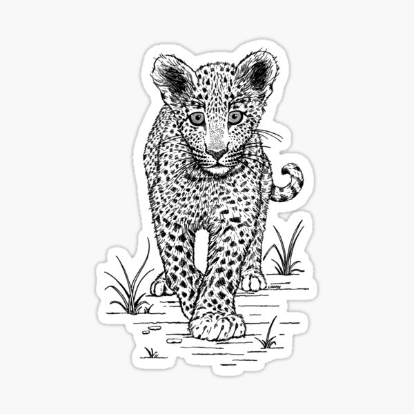 Sticker Baby Leopard Redbubble