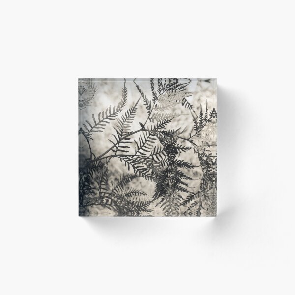 Bracken Acrylic Block