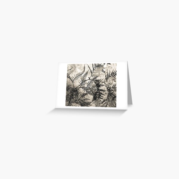 Bracken Greeting Card