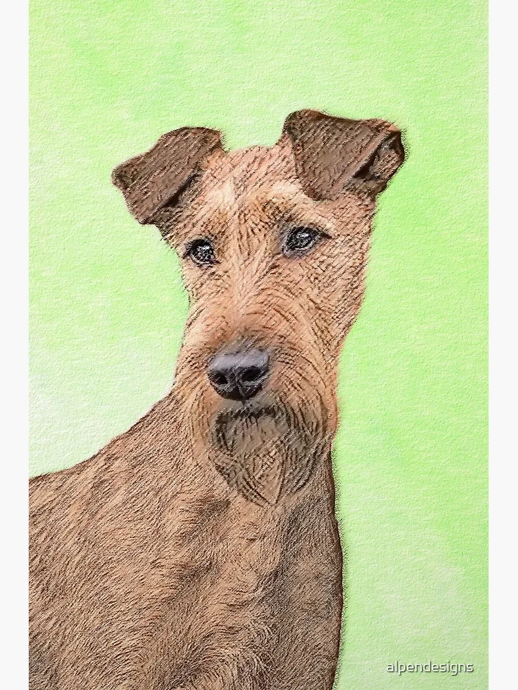 psaマガジン super stickers irish terrier flat,750x,075,f-pad,750x1000,