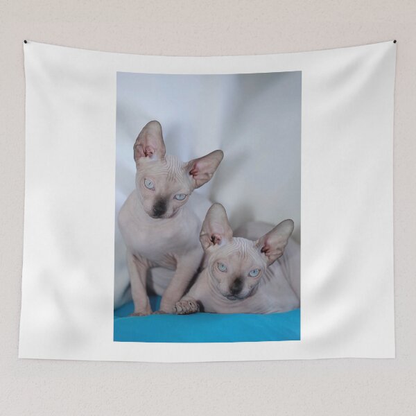 Item preview, portrait of cute shpinx hairless cats designed and sold by olena2552.