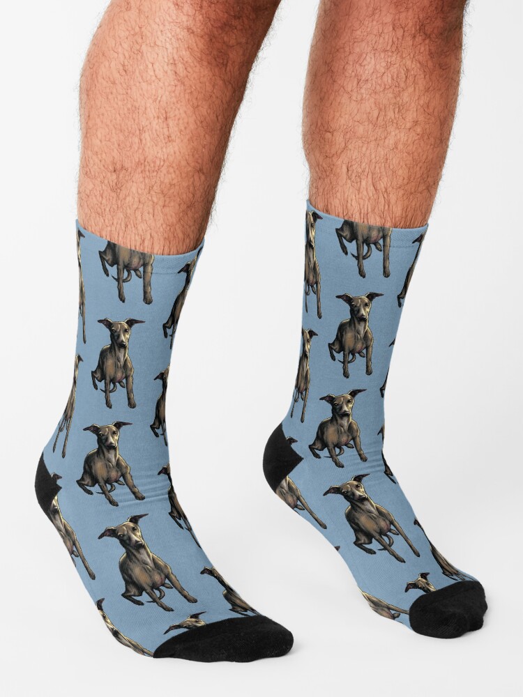 Dog portrait clearance socks