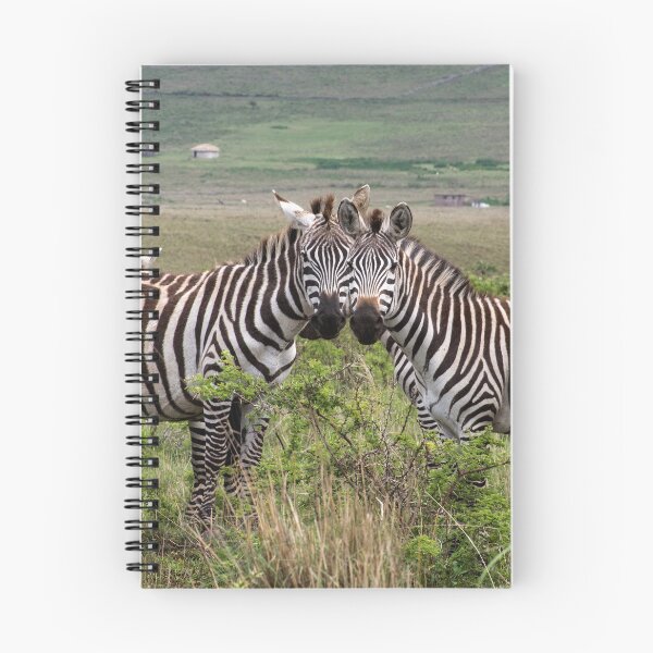 Artikelvorschau, Zebras, die sich spiegeln entworfen und verkauft von davidxgreen.