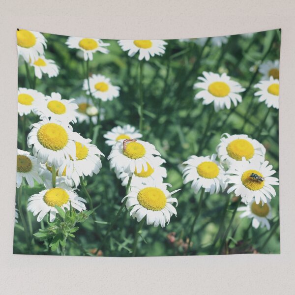 Item preview, Wild Daisies designed and sold by misimichu.