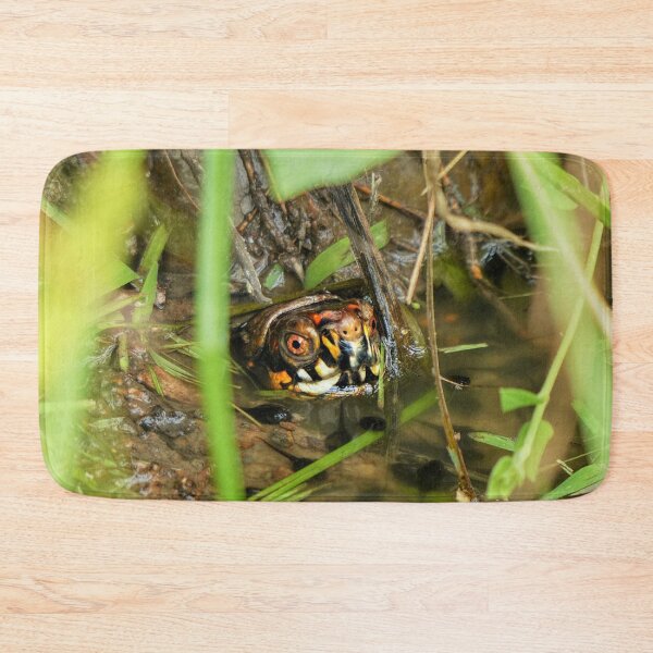 Item preview, Box Turtle and Tadpoles designed and sold by Frankie Cat Photography.