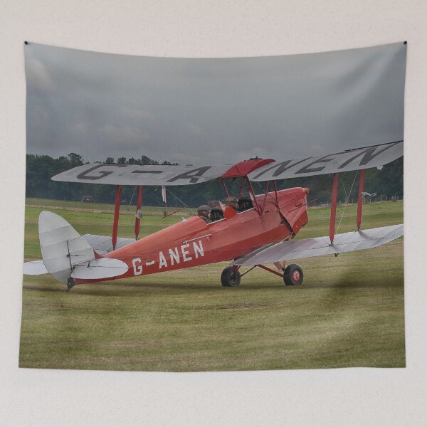 Item preview, Tiger Moth G-ANEN designed and sold by Dave Godden.