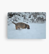 Knee Deep. Canvas Print