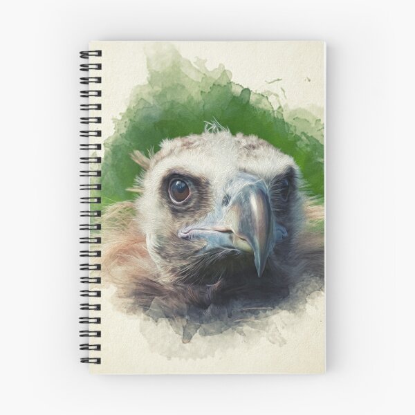Item preview, Painting of a monk vulture designed and sold by Pearcatprod.