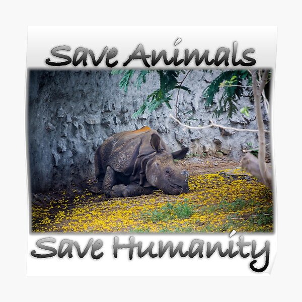 Save Animals Posters for Sale | Redbubble Save Animals Posters for Sale | Redbubble