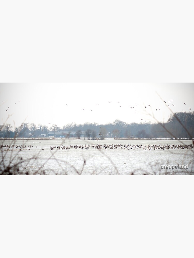 Thumbnail 3 of 3, Poster, Hundreds and hundreds of geese designed and sold by steppeland.