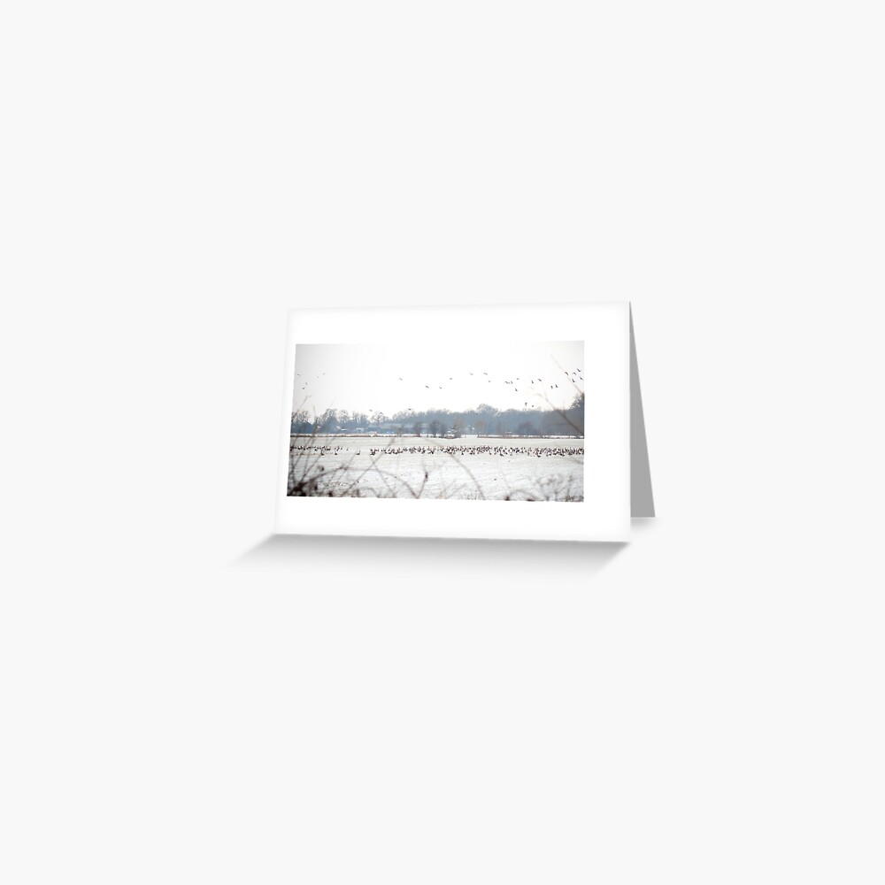 Item preview, Greeting Card designed and sold by steppeland.