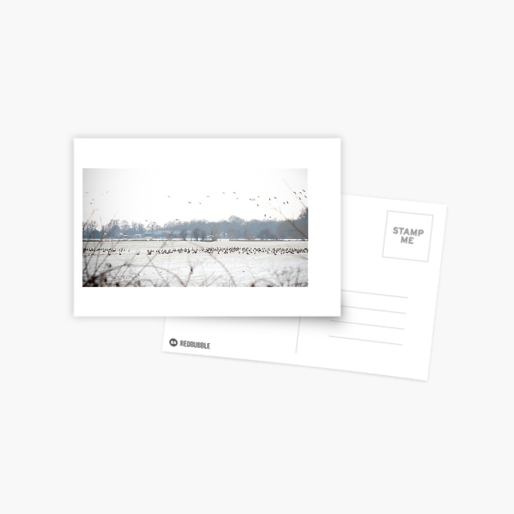 Item preview, Postcard designed and sold by steppeland.
