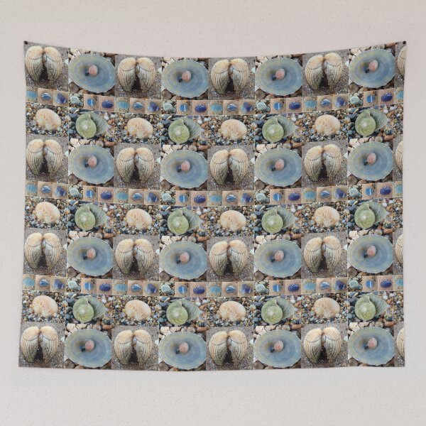 Item preview, pebbles and shells designed and sold by KathleenDawson.