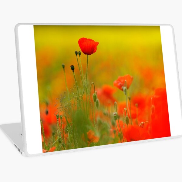 Item preview, Tall Poppy designed and sold by Chris McIlreavy.