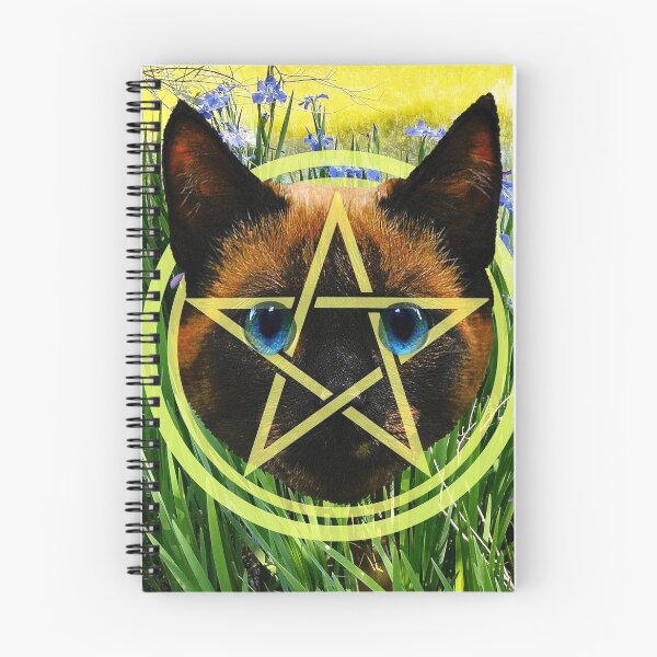 Item preview, The Ace of Pentacles designed and sold by Loveday Funck.