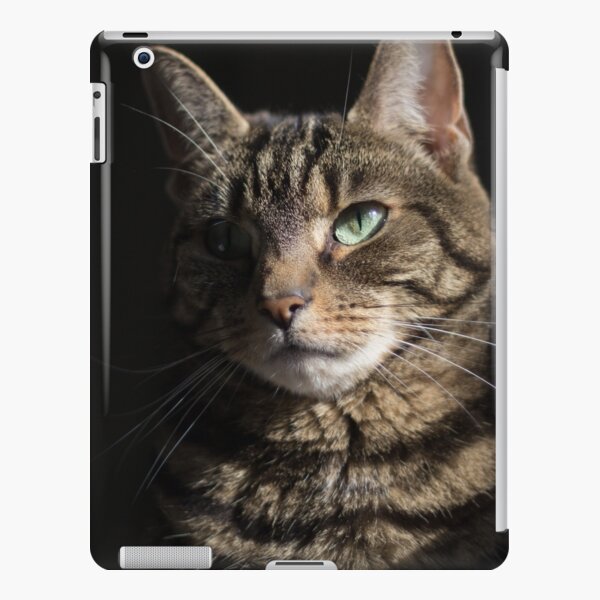 Tabby Cat Mysterious Beauty  iPad Snap Case
