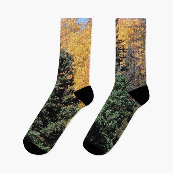 Item preview, Greens and Golds of Fall (Cumbres-Toltec Railroad designed and sold by William E Lopez.