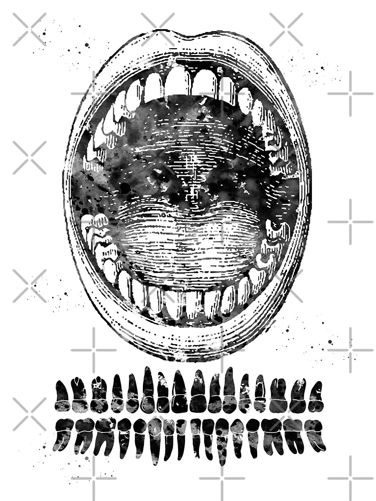 "Tooth chart" by erzebetth | Redbubble