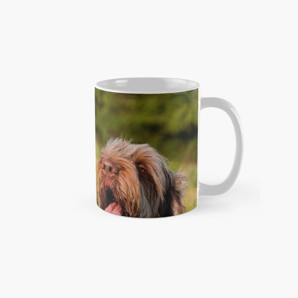 Catching the breeze Spinoni Classic Mug