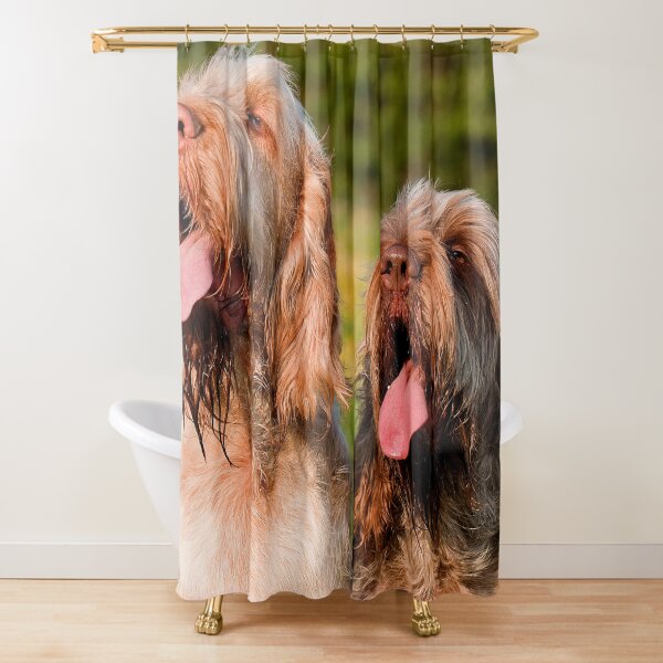 Italian Spinoni Dogs Woody and Ruben Shower Curtain