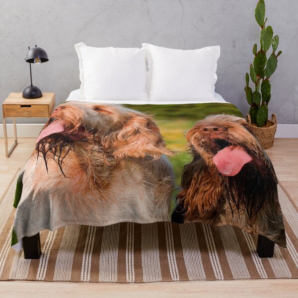 Catching the breeze Spinoni Throw Blanket