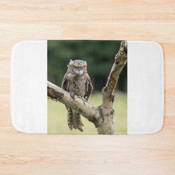 Item preview, Tawny Frogmouth designed and sold by Nigel R Bell Photography.