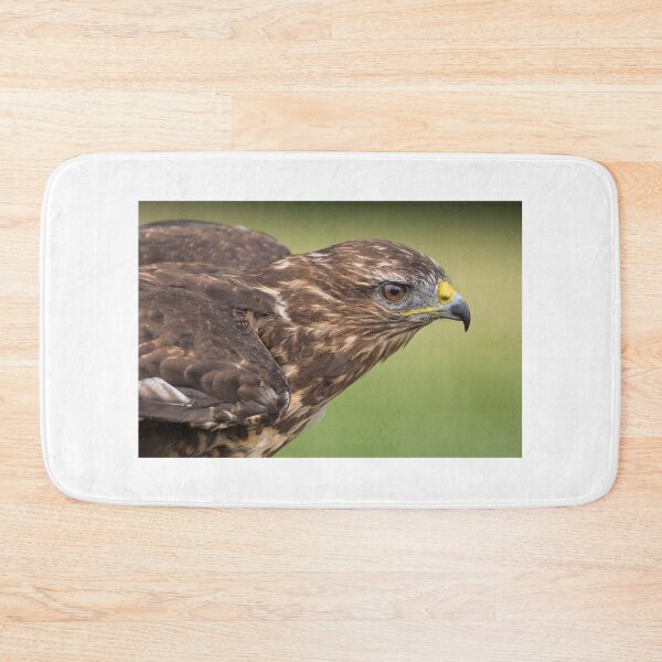 Item preview, Buzzard designed and sold by Nigel R Bell Photography.
