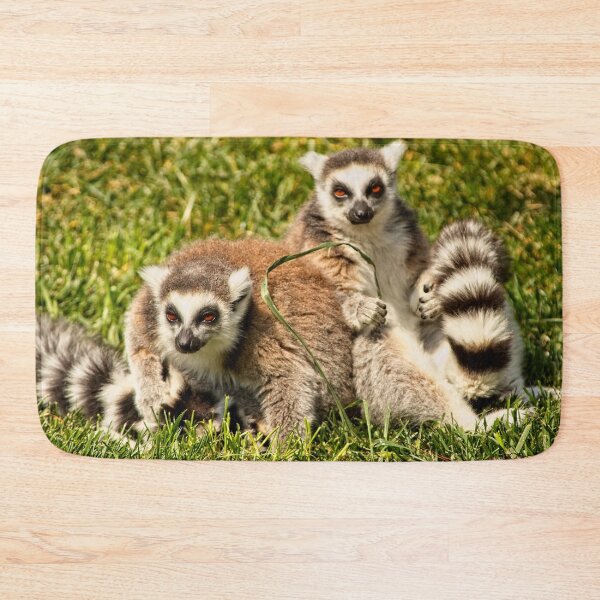 Item preview, Animal Portrait - Ringtail Lemur (2) designed and sold by Wolf Sverak Photography.