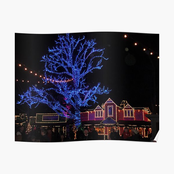 Silver Dollar City, Branson Poster