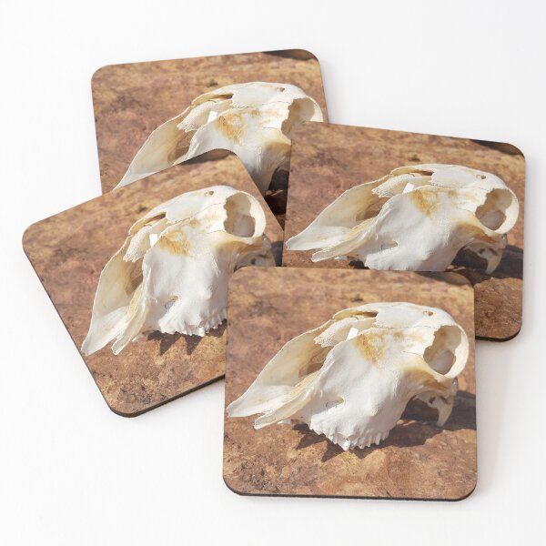 Item preview, Skull designed and sold by Vicki Spindler (VHS Photography).