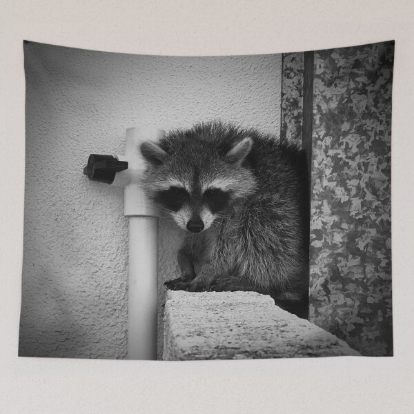 Item preview, Raccoon designed and sold by misimichu.