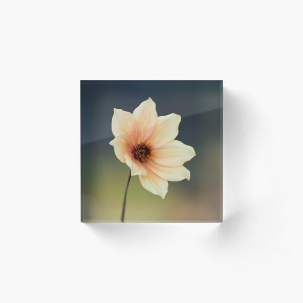 Yellow Flower Acrylic Block