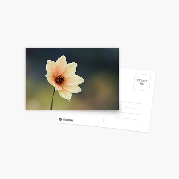 Yellow Flower Postcard