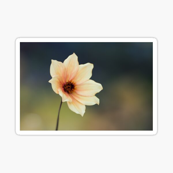 Yellow Flower Sticker