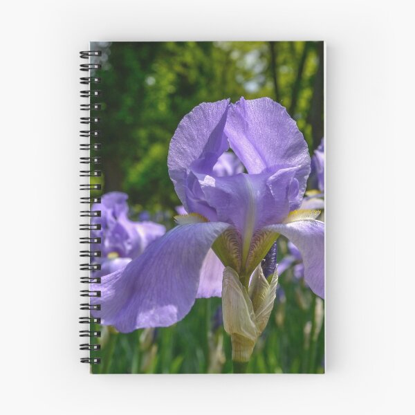 Item preview, Iris designed and sold by Olimpia Negura.