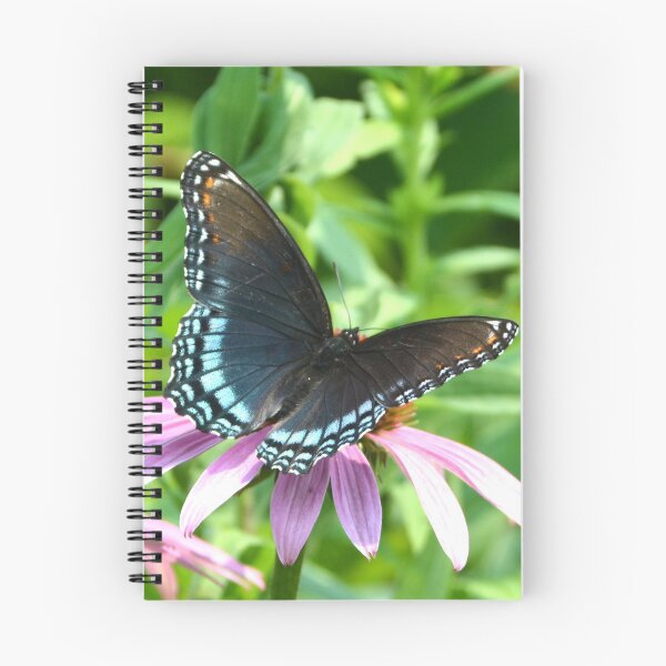 Artikelvorschau, Schmetterling 1 entworfen und verkauft von Sharon Schwalbe.
