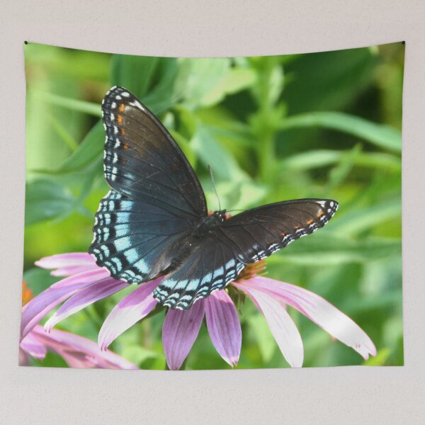 Item preview, Butterfly 1 designed and sold by Sharon Schwalbe.