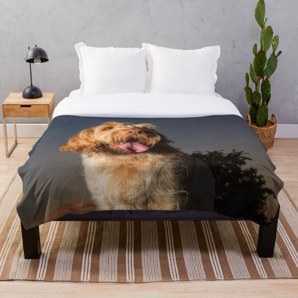 Standing on a seat at sunset Spinone Throw Blanket