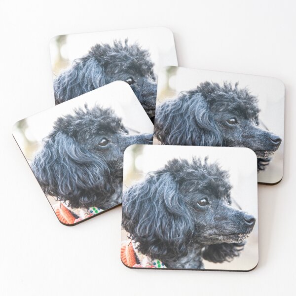 Item preview, The boss poodle designed and sold by KensLensDesigns.