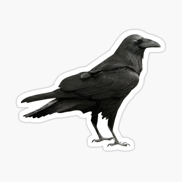 467 Blackbird Logo Stock Illustrations, Vectors & Clipart - Dreamstime