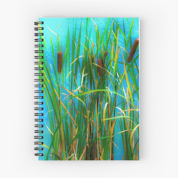 Item preview, Cattails on a pond near Cloudcroft, N.M. designed and sold by William E Lopez.