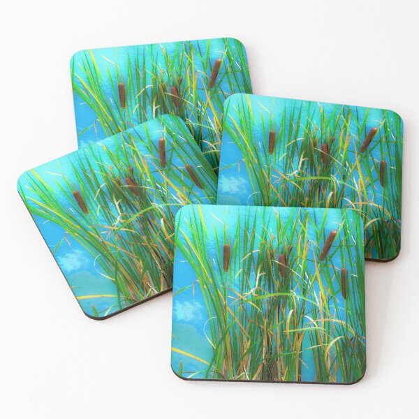 Item preview, Cattails on a pond near Cloudcroft, N.M. designed and sold by William E Lopez.