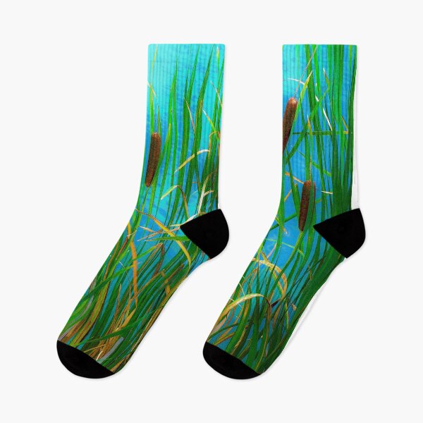 Item preview, Cattails on a pond near Cloudcroft, N.M. designed and sold by William E Lopez.
