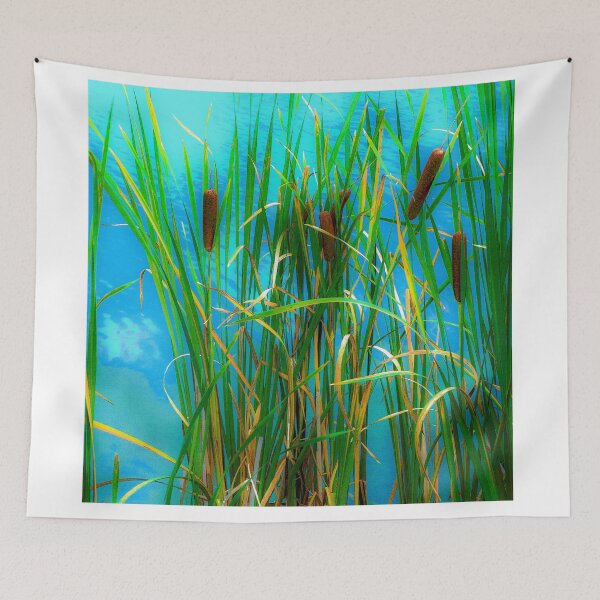 Item preview, Cattails on a pond near Cloudcroft, N.M. designed and sold by William E Lopez.
