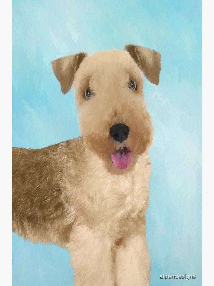 original terrier dog