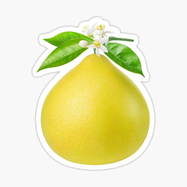 Item preview, Pommelo fruit designed and sold by 6hands.
